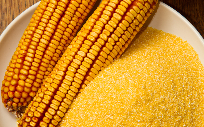 A photo of a bowl of cornmeal and two ears of corn.