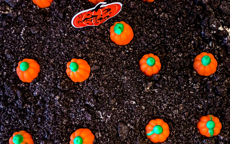 Pumpkins on a dirt cake, featured for halloween