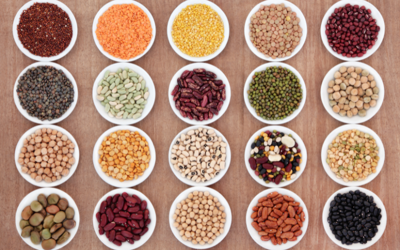 Circular trays of pulses all lined up in columns